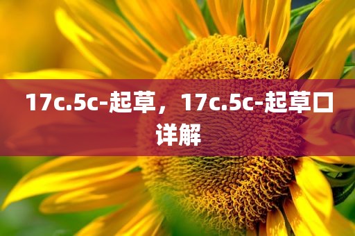 17c.5c-起草，17c.5c-起草口详解