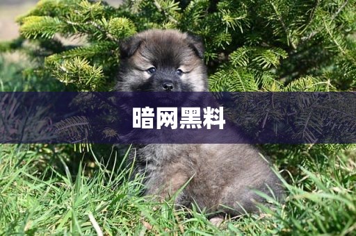 暗网黑料