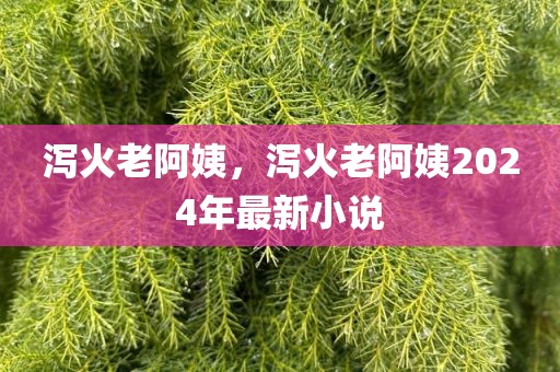 泻火老阿姨，泻火老阿姨2024年最新小说