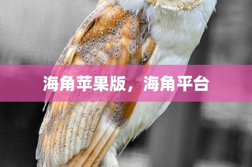 海角苹果版，海角平台