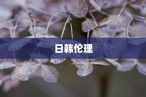 日韩伦理