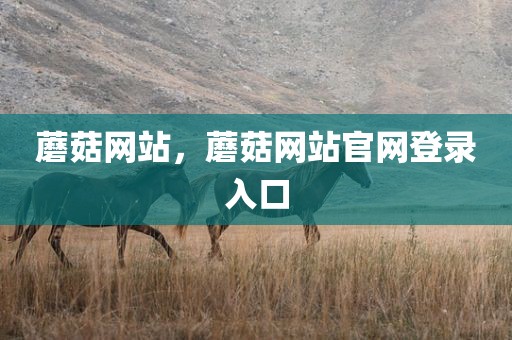 蘑菇网站，蘑菇网站官网登录入口