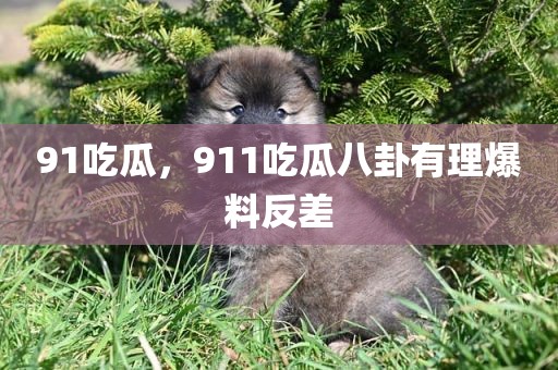 91吃瓜，911吃瓜八卦有理爆料反差