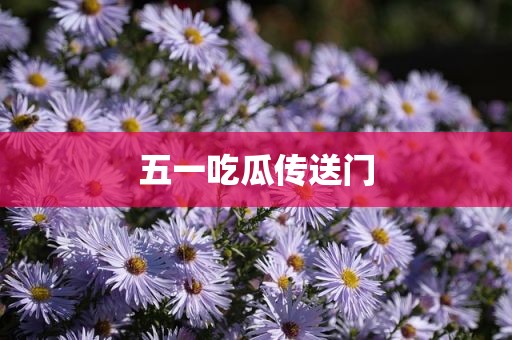 五一吃瓜传送门