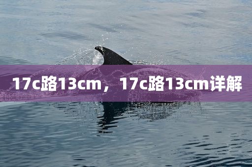 17c路13cm，17c路13cm详解