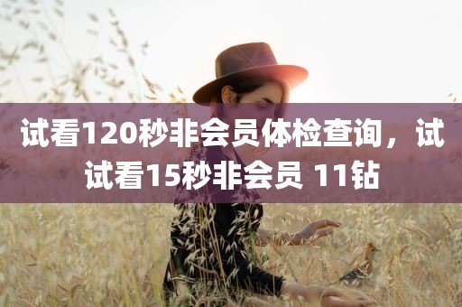 试看120秒非会员体检查询，试试看15秒非会员 11钻