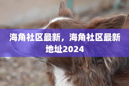 海角社区最新，海角社区最新地址2024