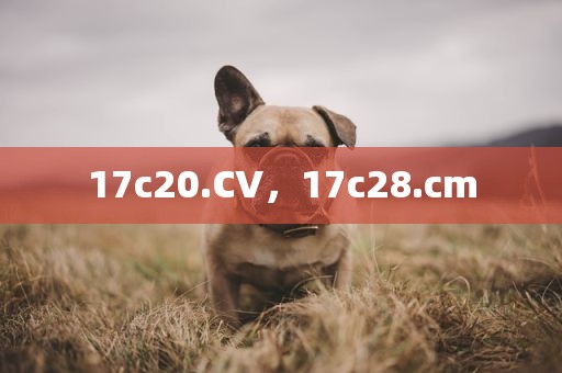 17c20.CV，17c28.cm
