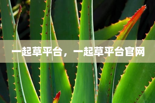 一起草平台，一起草平台官网