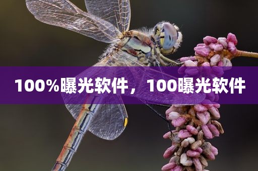 100%曝光软件，100曝光软件