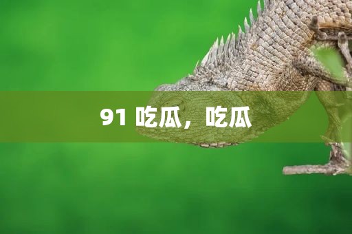 91 吃瓜，吃瓜