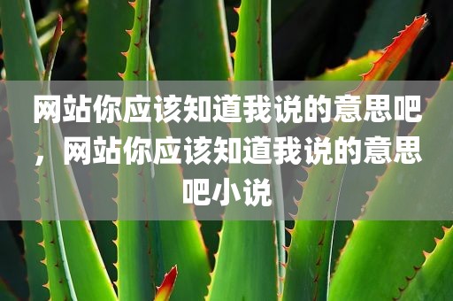 网站你应该知道我说的意思吧，网站你应该知道我说的意思吧小说