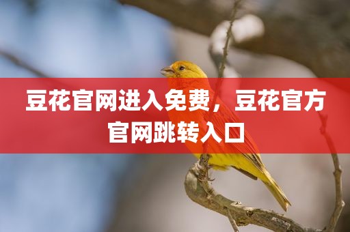 豆花官网进入免费，豆花官方官网跳转入口