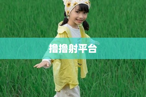 撸撸射平台