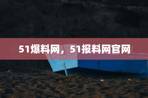 51爆料网，51报料网官网