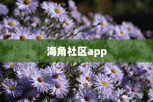 海角社区app