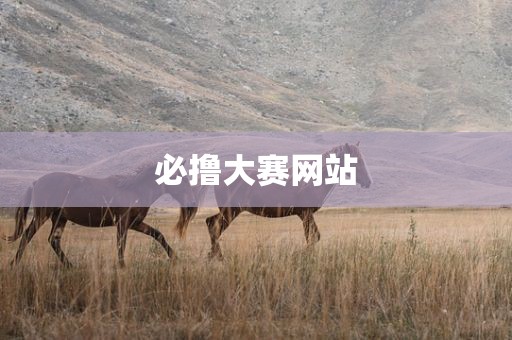 必撸大赛网站