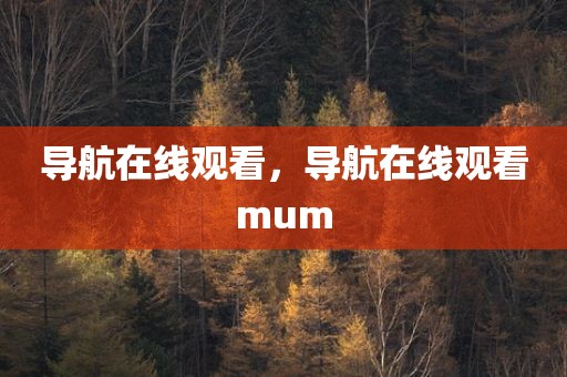 导航在线观看，导航在线观看mum