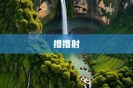 撸撸射