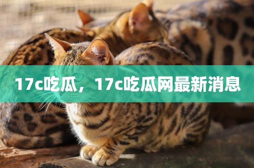 17c吃瓜，17c吃瓜网最新消息