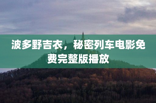 波多野吉衣，秘密列车电影免费完整版播放