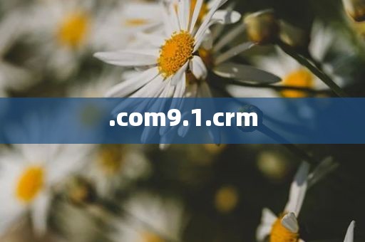 .com9.1.crm