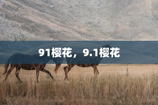 91樱花，9.1樱花