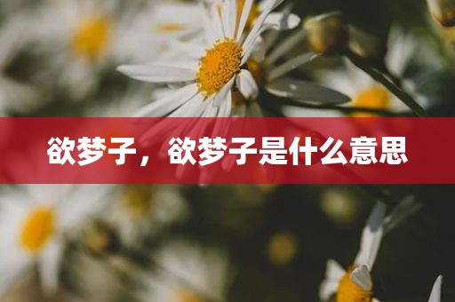 欲梦子，欲梦子是什么意思