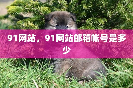 91网站，91网站邮箱帐号是多少