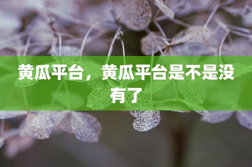 黄瓜平台，黄瓜平台是不是没有了