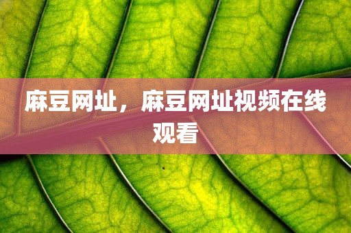 麻豆网址，麻豆网址视频在线观看