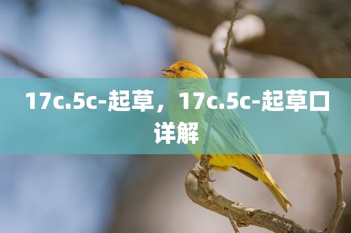 17c.5c-起草，17c.5c-起草口详解