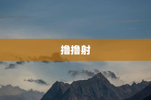 撸撸射