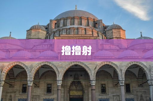 撸撸射