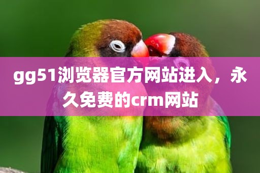 gg51浏览器官方网站进入，永久免费的crm网站