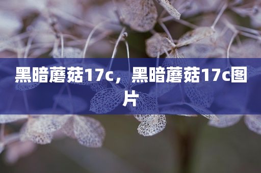 黑暗蘑菇17c，黑暗蘑菇17c图片