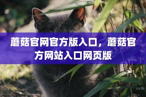 蘑菇官网官方版入口，蘑菇官方网站入口网页版