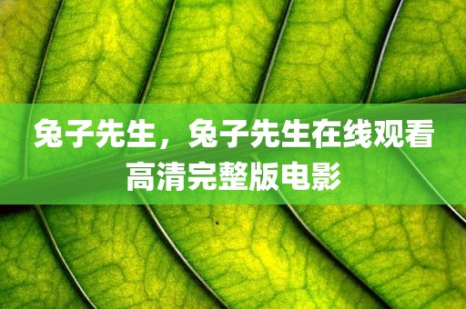 兔子先生，兔子先生在线观看高清完整版电影