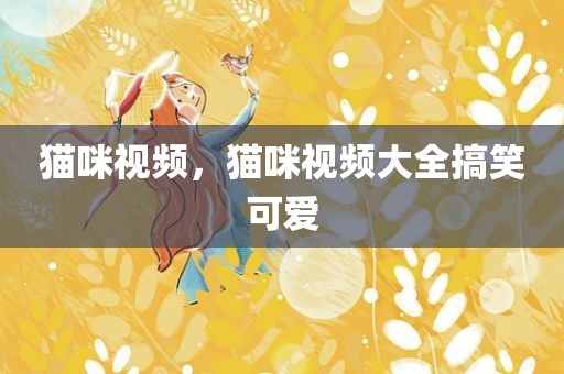 猫咪视频，猫咪视频大全搞笑可爱