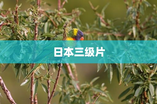 日本三级片