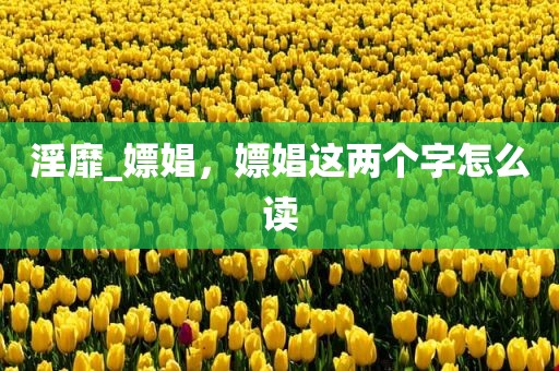 淫靡_嫖娼，嫖娼这两个字怎么读