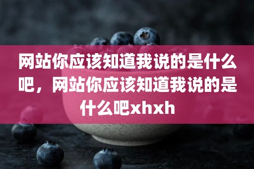 网站你应该知道我说的是什么吧，网站你应该知道我说的是什么吧xhxh