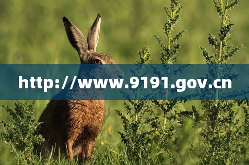 http://www.9191.gov.cn