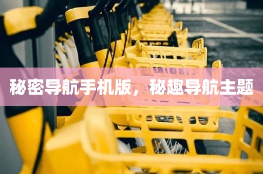 秘密导航手机版，秘趣导航主题