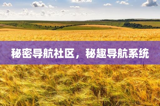 秘密导航社区，秘趣导航系统