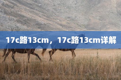17c路13cm，17c路13cm详解
