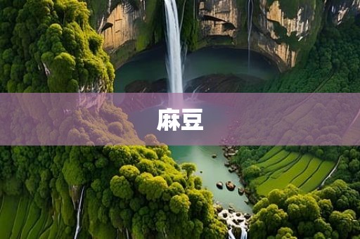 麻豆