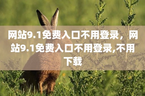 网站9.1免费入口不用登录，网站9.1免费入口不用登录,不用下载