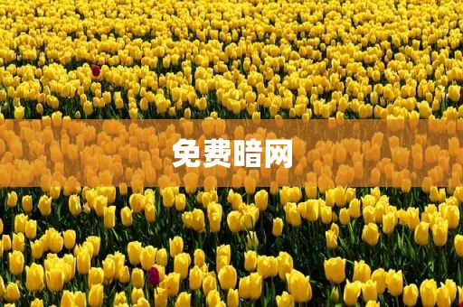免费暗网