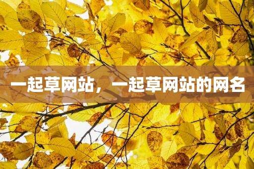 一起草网站，一起草网站的网名